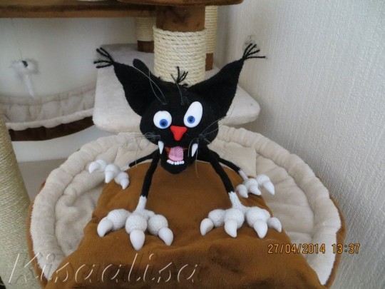 Male cat ARISTARH black  buy in the online store